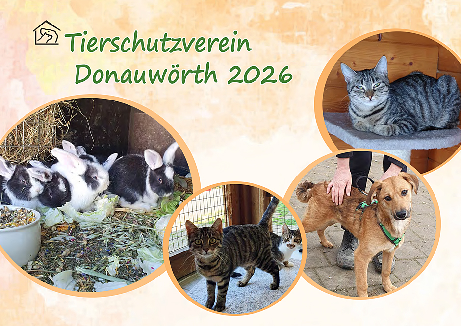 Der neue Tierheimkalender für 2026 ist da