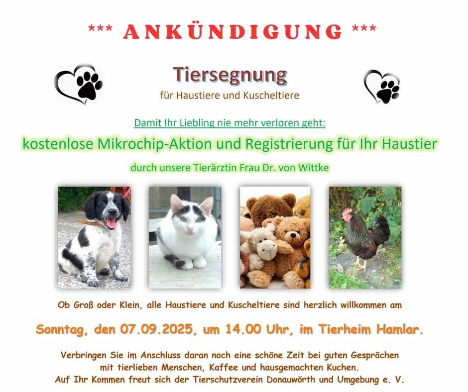 Tiersegnung am 7. September 2025 im Tierheim Hamlar